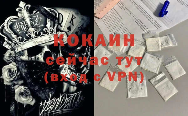 хмурый Сосновый Бор