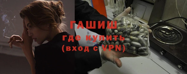 хмурый Сосновый Бор