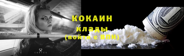 хмурый Сосновый Бор