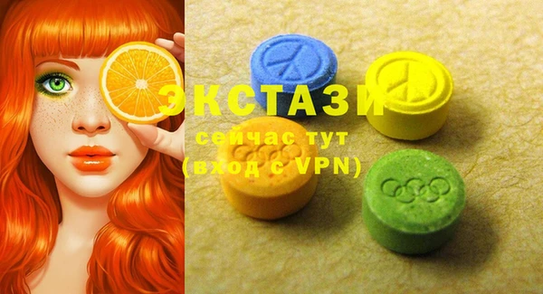 хмурый Сосновый Бор