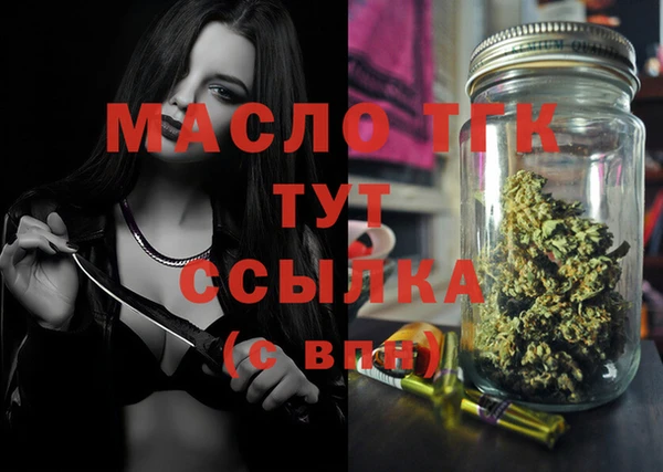 хмурый Сосновый Бор