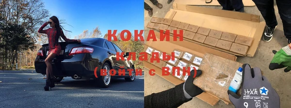 хмурый Сосновый Бор