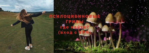 хмурый Сосновый Бор