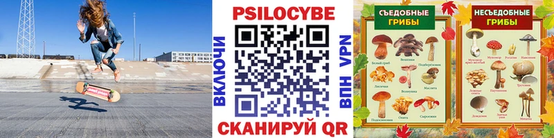 Псилоцибиновые грибы Psilocybine cubensis Тюкалинск